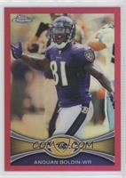 Anquan Boldin #/399