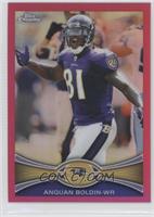 Anquan Boldin #/399