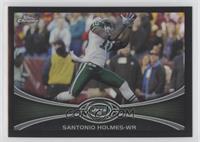 Santonio Holmes #/299