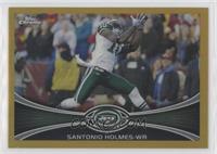 Santonio Holmes #/50