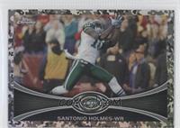 Santonio Holmes #/499