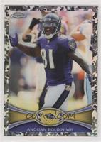 Anquan Boldin #/499