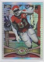 Tamba Hali #/216