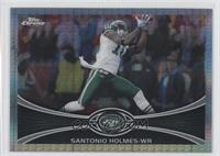 Santonio Holmes #/216