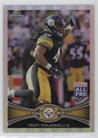 All-Pro - Troy Polamalu