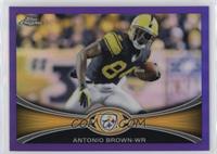 Antonio Brown #/499