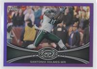 Santonio Holmes #/499