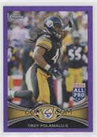 All-Pro - Troy Polamalu #/499