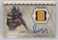 Rashard Mendenhall #/25