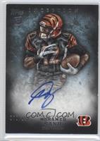 Rookie Autographs - Mohamed Sanu #/150