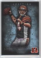 Andy Dalton #/252