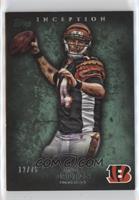 Andy Dalton [EX to NM] #/75