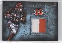 Mohamed Sanu #/75