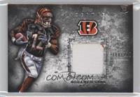 Mohamed Sanu #/210