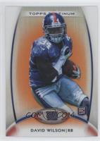 Rookie - David Wilson