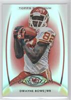 Dwayne Bowe