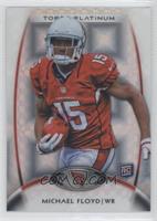 Rookie - Michael Floyd