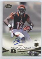 Mohamed Sanu #/75