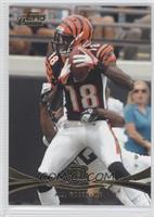 A.J. Green