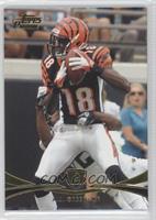 A.J. Green