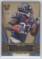 Arian Foster #/96