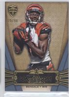 A.J. Green #/96