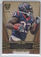 Arian Foster #/40