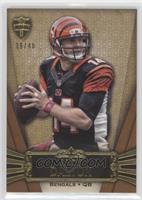 Andy Dalton #/40