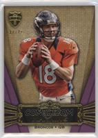 Peyton Manning #/75