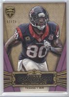 Andre Johnson #/75