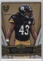 Troy Polamalu #/462