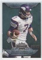 Christian Ponder #/170