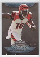 A.J. Green #/50