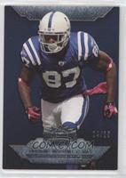 Reggie Wayne #/25