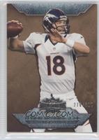 Peyton Manning #/310