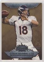 Peyton Manning #/310