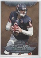 Jay Cutler #/310