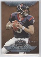 Matt Schaub #/310