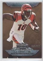 A.J. Green #/310