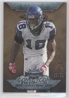 Sidney Rice #/310