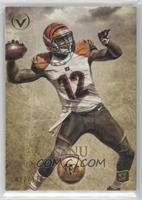 Mohamed Sanu #/170