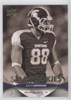 Star Rookies - Brian Linthicum #/10