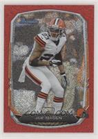 Joe Haden #/25