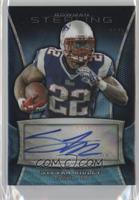 Stevan Ridley #/99