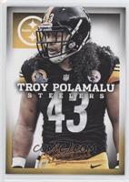 Troy Polamalu