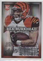 Rex Burkhead (Ball in Left Arm) #/49