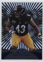 Troy Polamalu #/100