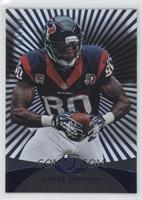 Andre Johnson #/100