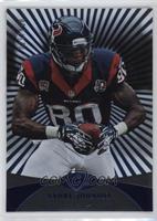 Andre Johnson #/100