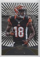 A.J. Green #/25